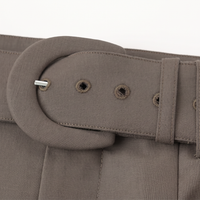 Close-up of a taupe-brown fabric belt with a large oval buckle and metal eyelets, shown against a plain white background.